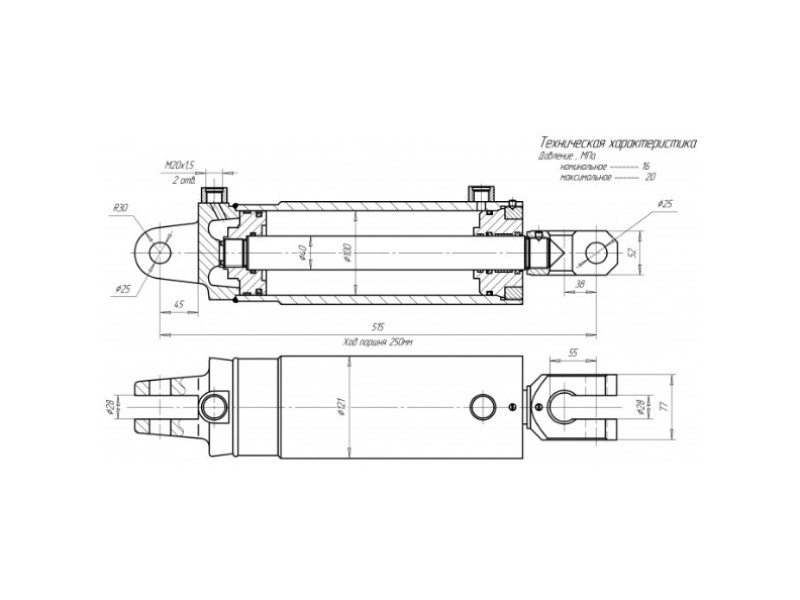ЦГ-100.40х250.01