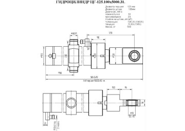 ЦГ-125.100х5000.31