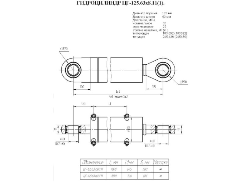 ЦГ-125.63х580.11