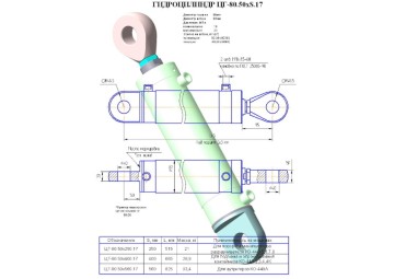 ЦГ-80.50х250.17