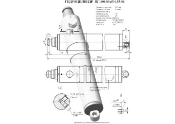 ЦГ-100.80х500.55-01